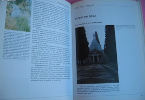 imagem_6