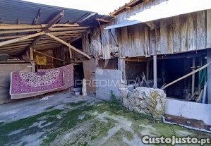 imagem_7