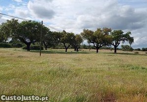 Terreno Rústico com 5 hectares Tapada do Torrão, Santa Eulália, Elvas