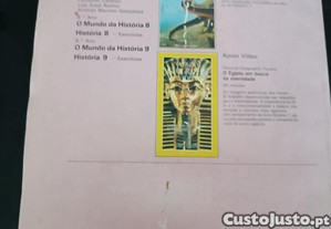 imagem_8