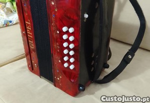 imagem_3