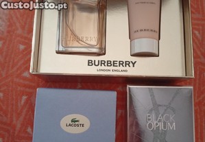 imagem_3