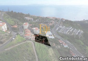imagem_5
