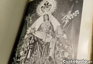 imagem_7