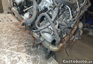 imagem_6