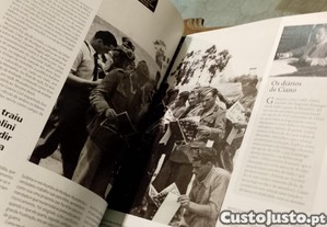 imagem_6