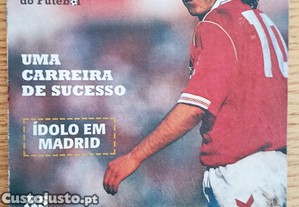 imagem_1