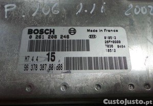 imagem_3