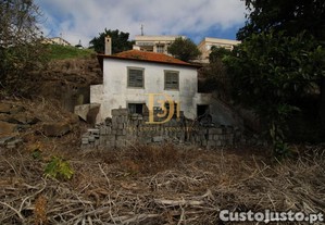 imagem_7