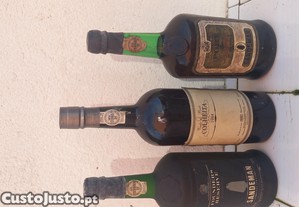 imagem_1