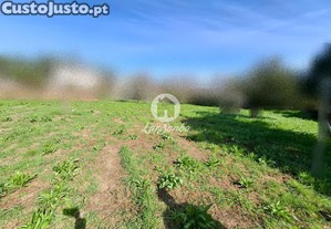 imagem_6
