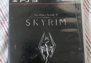 The Elder Scrolls V: Skyrim PS3 em bom estado