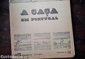imagem_7