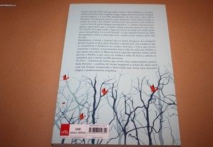 imagem_3