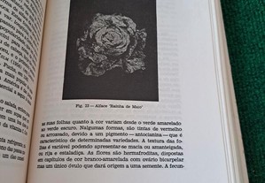 imagem_8