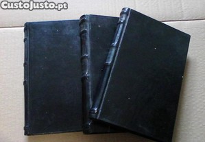 imagem_2