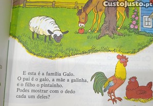 imagem_2