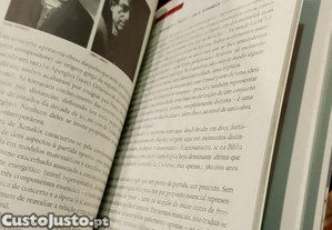 imagem_8