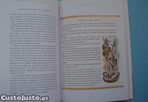 imagem_6