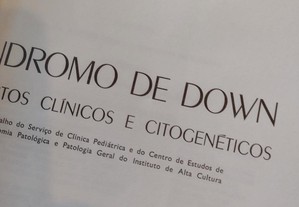 imagem_8