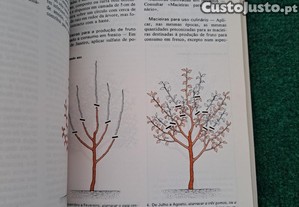 imagem_8
