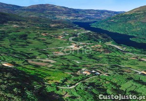 Terreno Rústico Com 1.760 M2 Em Britelo, Ponte...