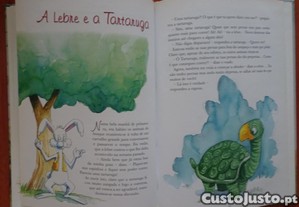 imagem_6