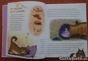 imagem_3