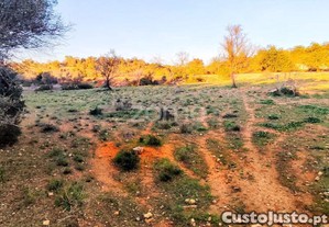 Terreno Rústico Tunes - Silves