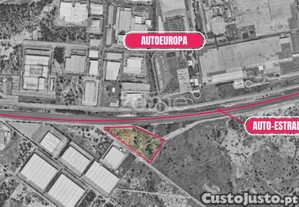 Terreno Industrial Com 38.250M2 Na Quinta Do...