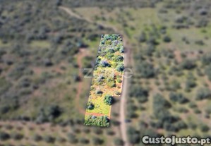 Terreno Rústico Com 3 660² Na Franqueira