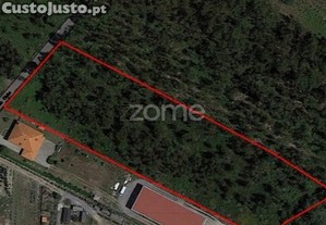 Terreno Rústico Com 7.900 M2 Em Monte Córdova -...