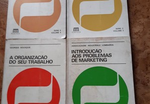 Coleção Empresas Editora Pórtico