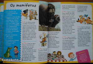 imagem_7