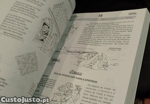 imagem_4