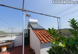 imagem_13