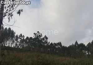 Terreno Rustico Em Escariz São Martinho, Vila...