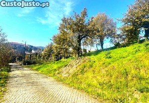 imagem_38