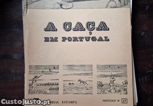 imagem_8