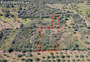 Terreno Rústico Com 2.820 M² Na Zona Da Franqueira