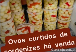 imagem_1