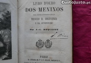 imagem_1