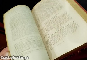 imagem_8