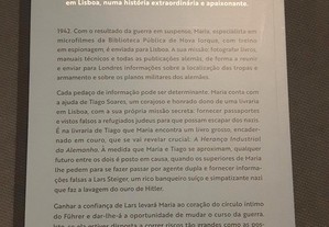 imagem_4