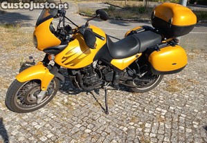 imagem_2