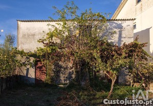 imagem_22