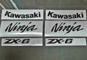 Autocolantes para Kawasaki ZX-6R 2007-2008
