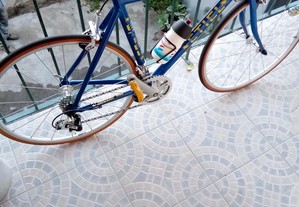Bicicleta marca etiel