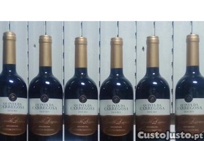 imagem_1