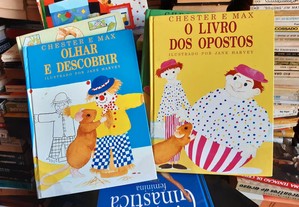 imagem_2